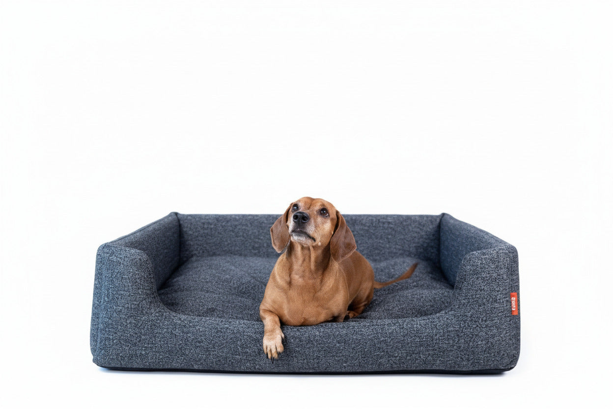 Simba - Emis Sleeping